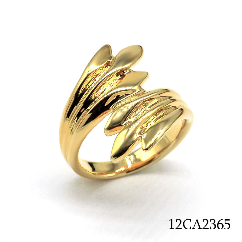 12CA2365       