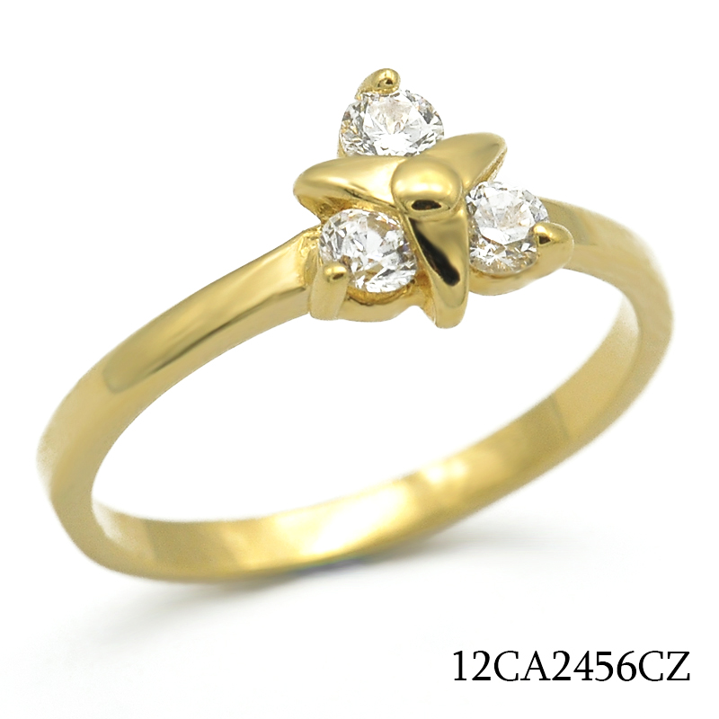 12CA2456CZ     