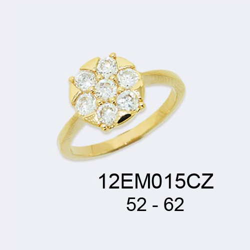 12EM015CZ      