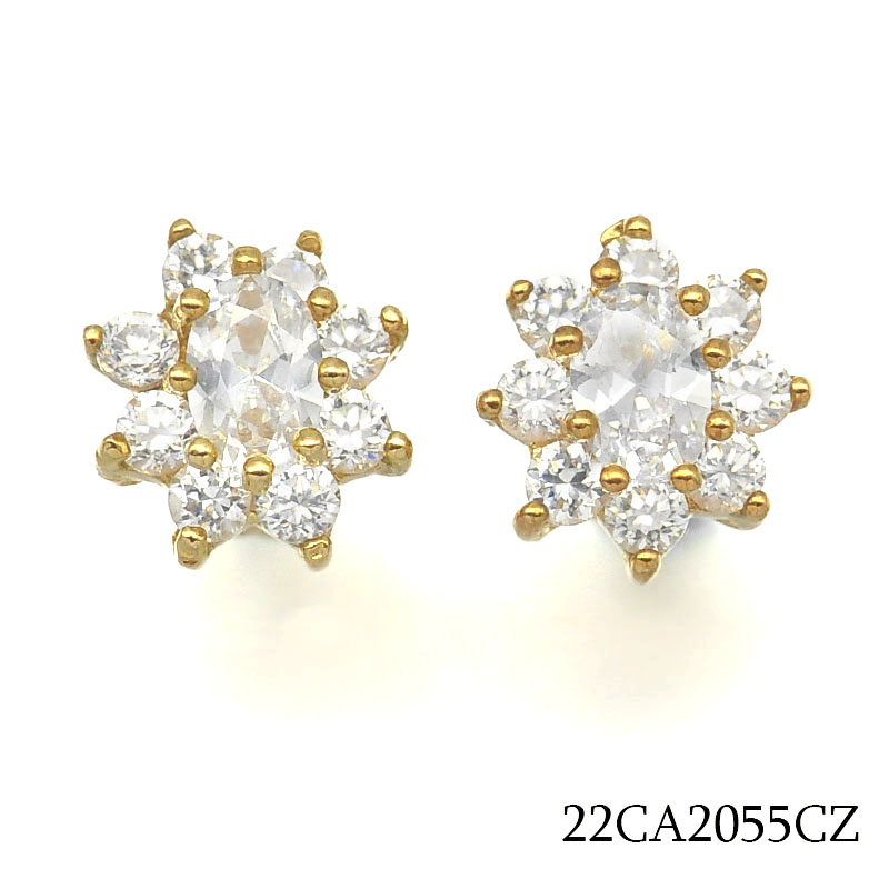 22CA2055CZ     