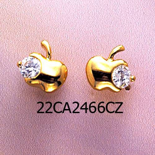 22CA2466CZ     