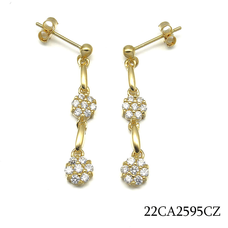 22CA2595CZ     