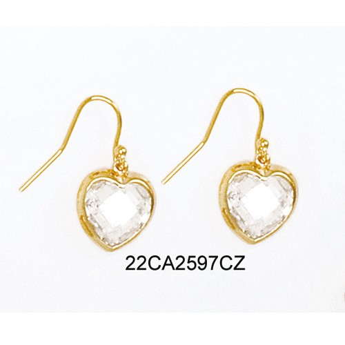 22CA2597CZ     
