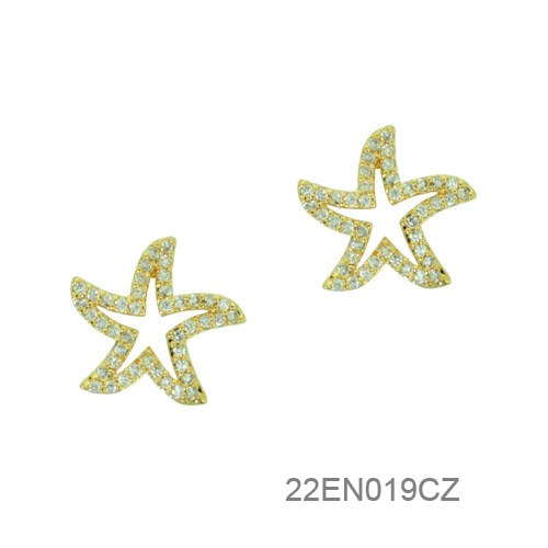 22EN019CZ      