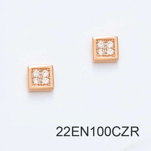 22EN100CZR     