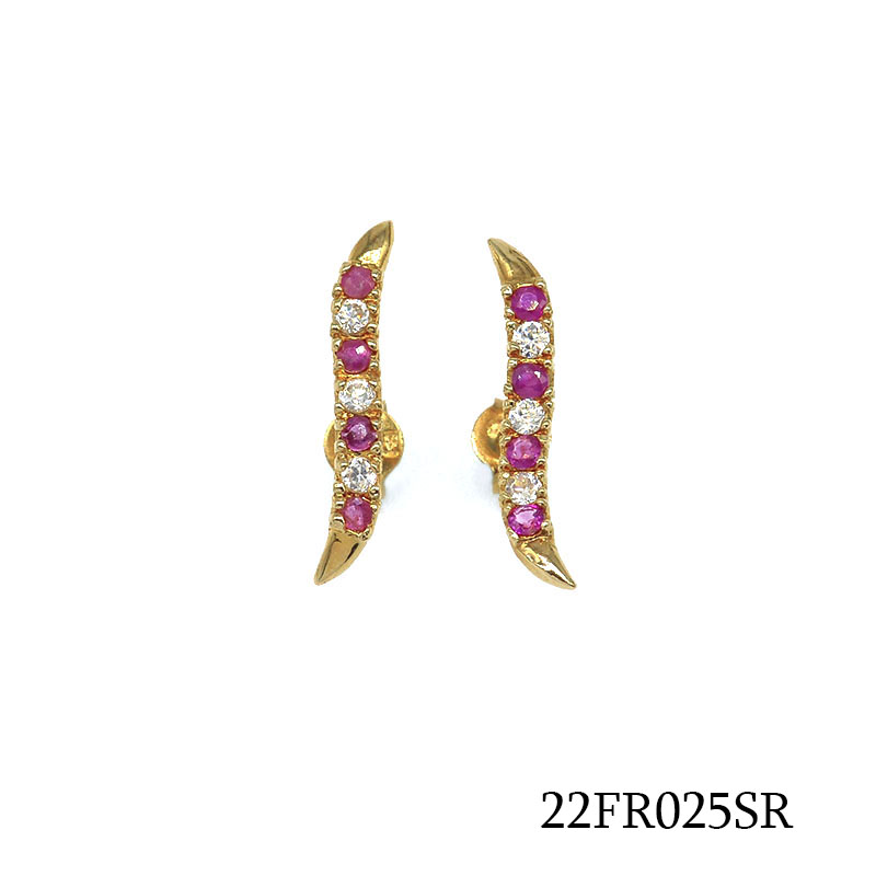 22FR025SR      