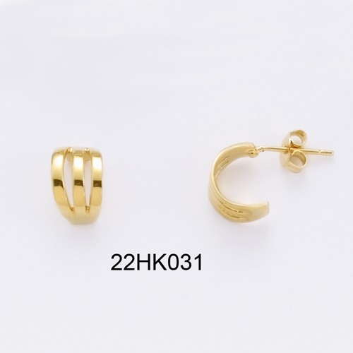 22HK031        