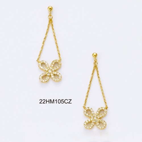 22HM105CZ      