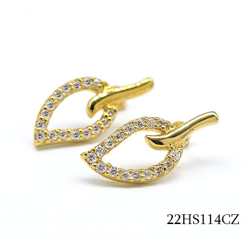 22HS114CZ      
