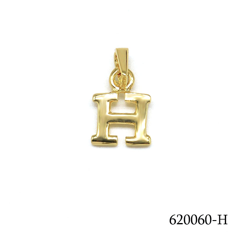 620060-H       