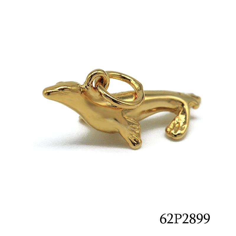 62P2899        